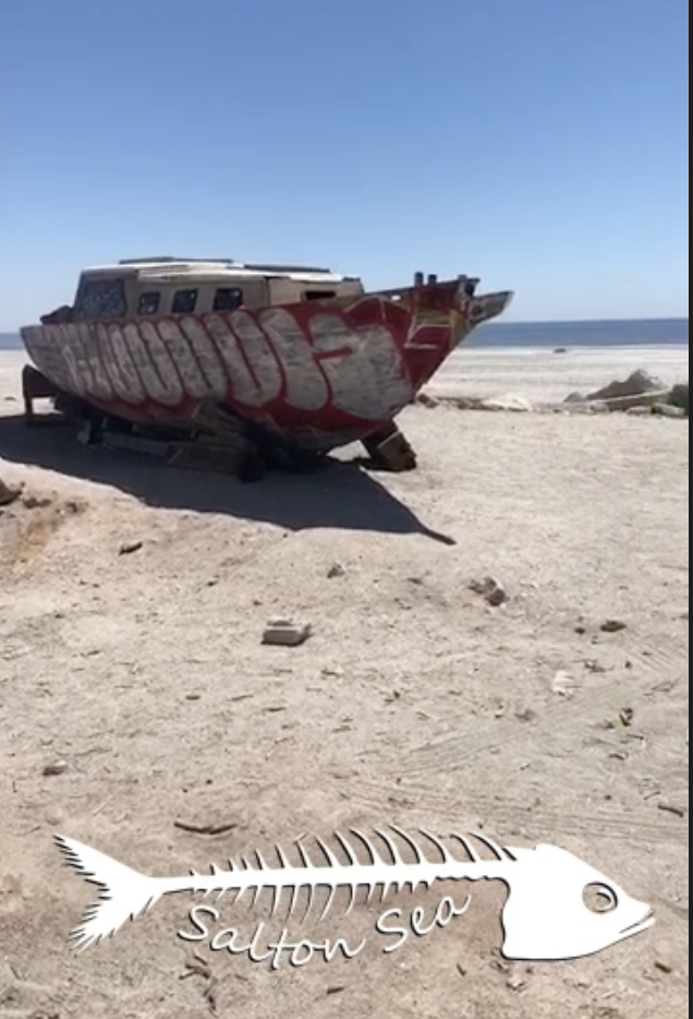 My Accidental Visit to the Salton Sea